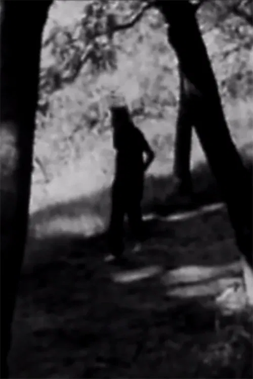 Homenaje a Juan L. Ortiz movie poster