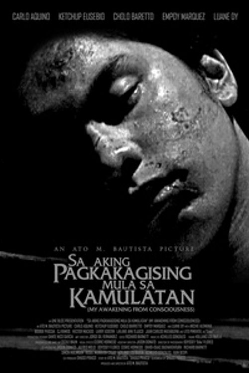 Awaken movie poster