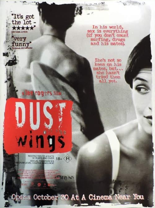 Dust Off the Wings movie poster