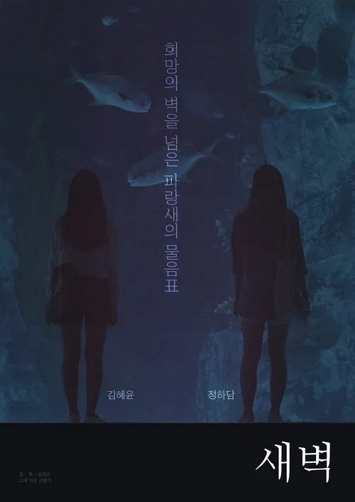 Dawn to Dawn movie poster