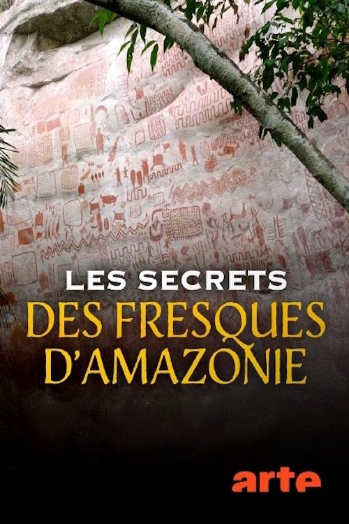 Les secrets des fresques d'Amazonie movie poster