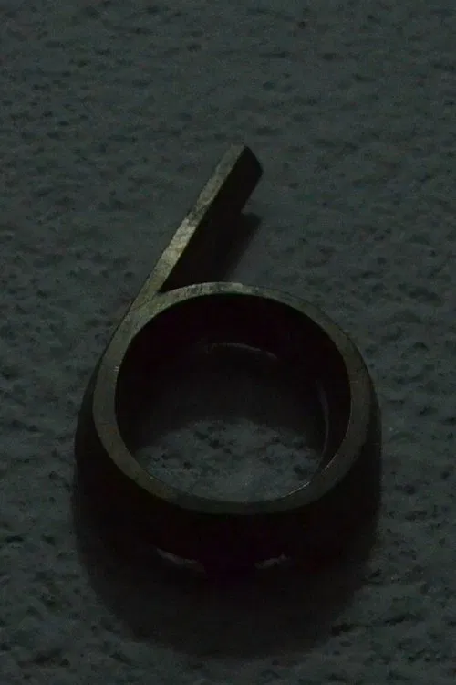 El Sexto movie poster