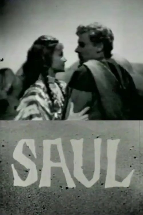 Poster do filme Saul