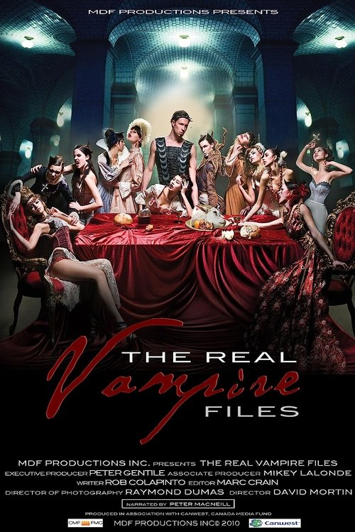 The Real Vampire Files movie poster
