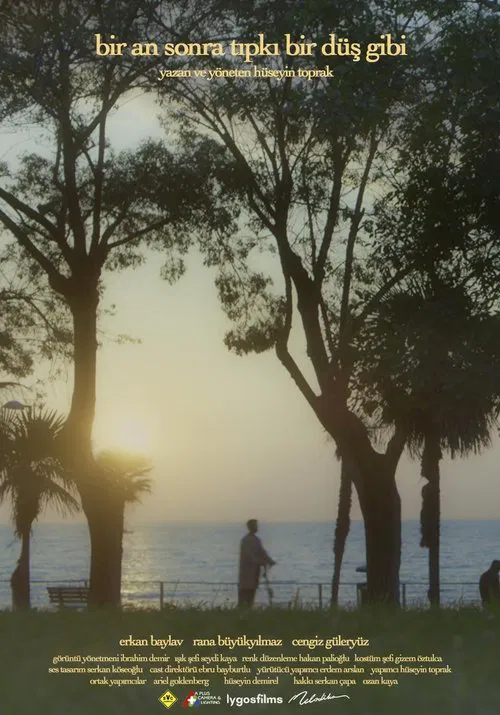 A moment later just like a dream movie poster