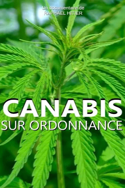 Cannabis sur ordonnance movie poster