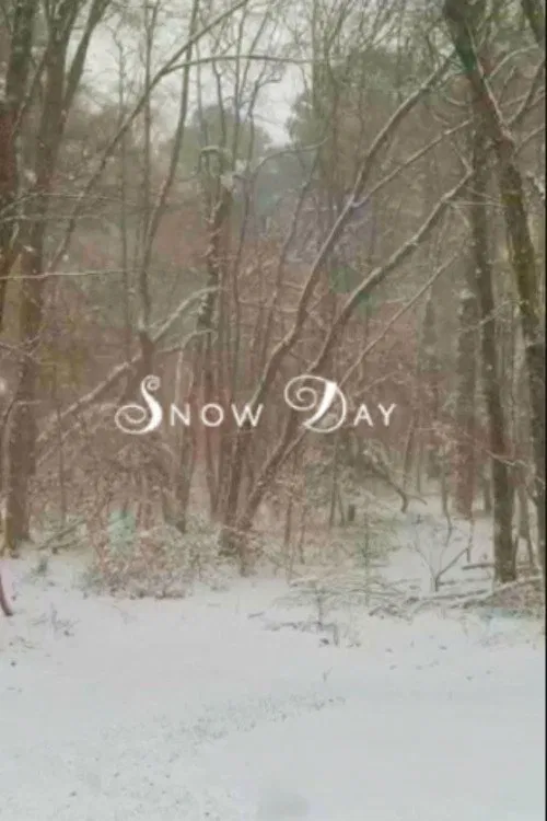 Poster do filme Snow Day