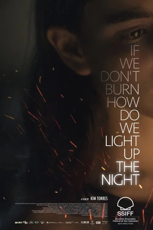 If We Don't Burn, How Do We Light Up the Night movie poster