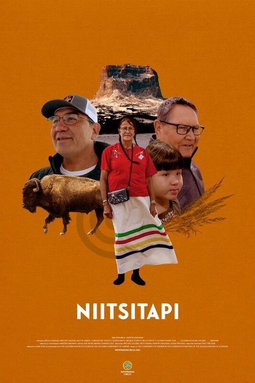 Poster do filme Niitsitapi