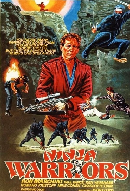 Ninja Warriors movie poster