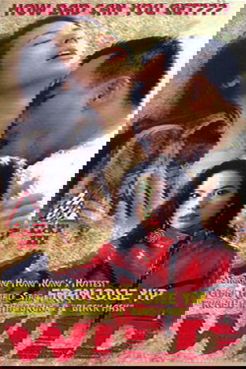 Wild movie poster