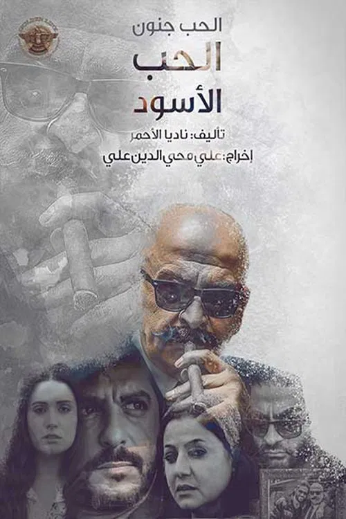 Love is Madness tv show poster