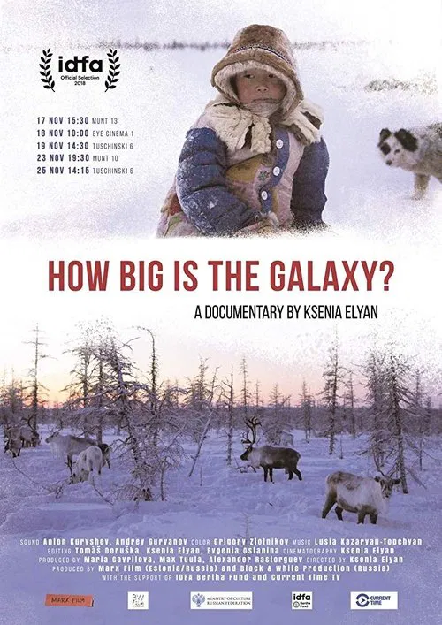 How Big Is the Galaxy? movie poster