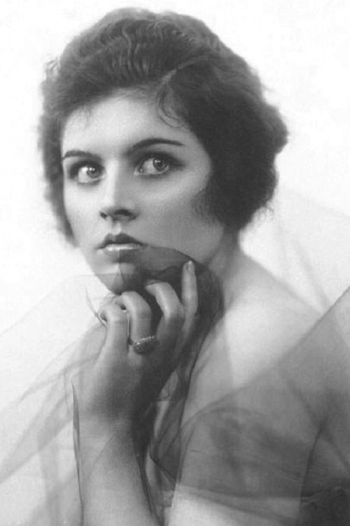 Elaine Hammerstein profile picture