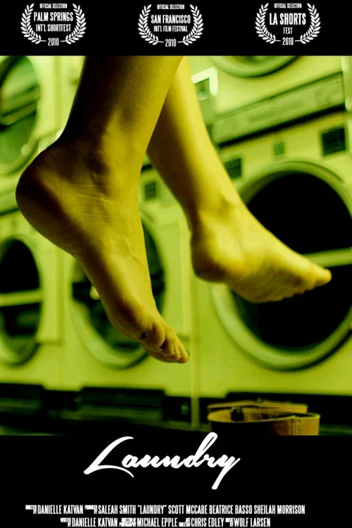 Laundry movie poster