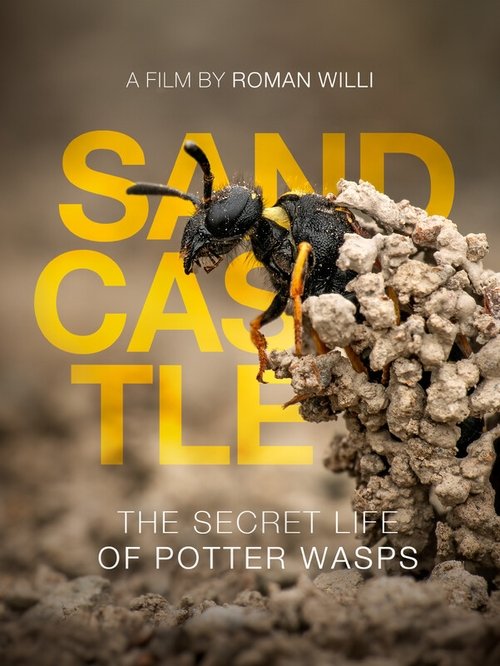 Poster do filme Sandcastle - The Secret Life Of Potter Wasps