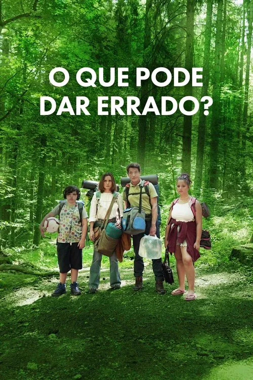 Poster do filme O Que Pode Dar Errado?