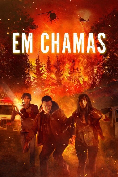 Poster do filme Em Chamas