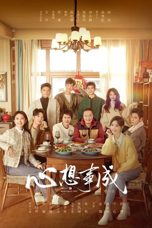 Hello Beautiful Life tv show poster