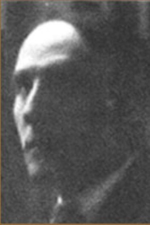 Maks Bryn profile picture