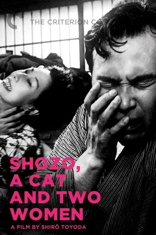 Shozo, a Cat and Two Women movie poster