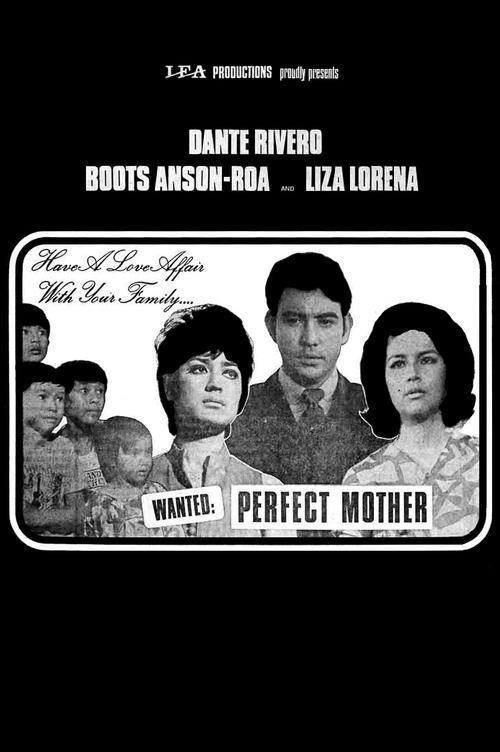 Wanted: Perfect Mother movie poster