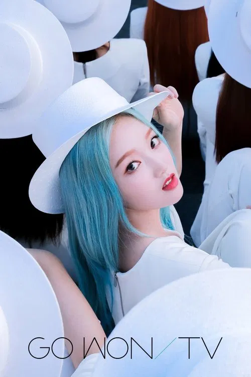 Go Won TV tv show poster