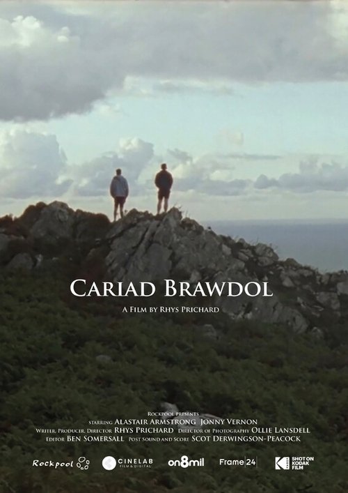 Cariad Brawdol movie poster
