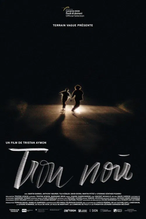 Poster do filme Black Hole
