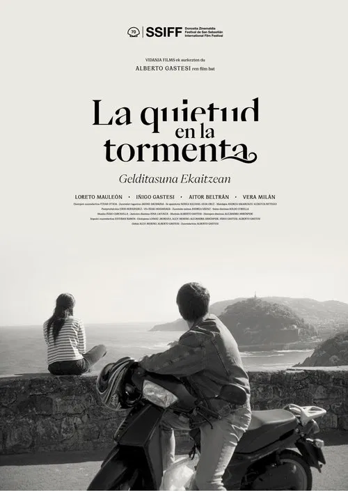Stillness in the Storm movie poster