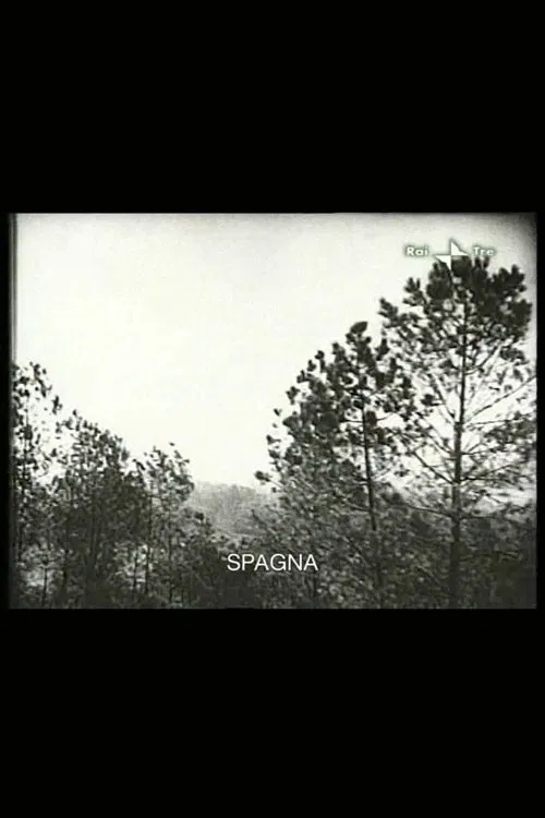 Spain movie poster