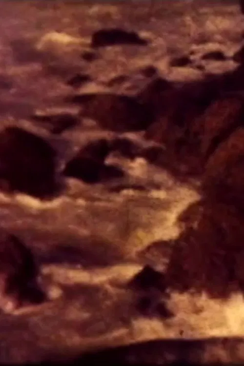 Last Whole Earth Catalog movie poster