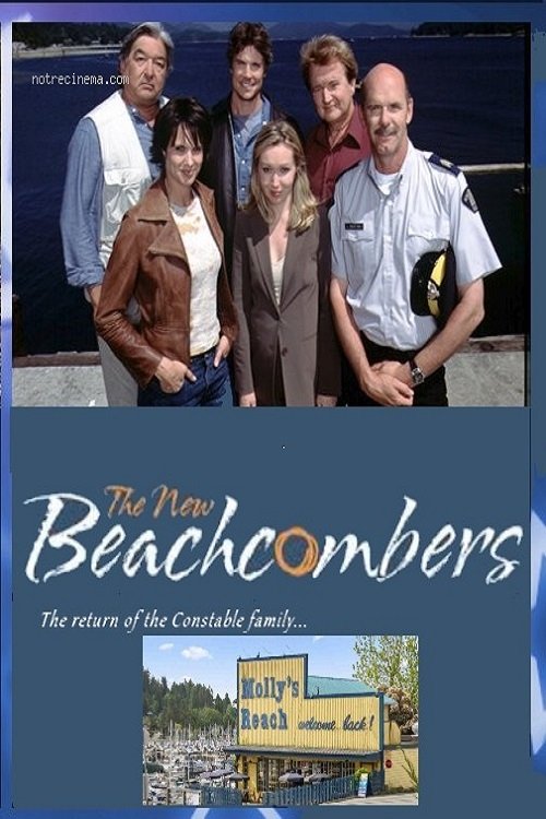 The New Beachcombers movie poster