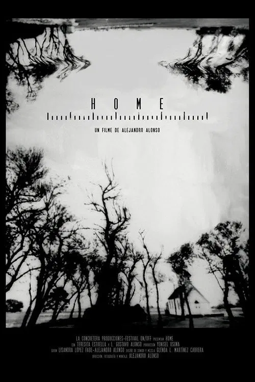 Home movie poster