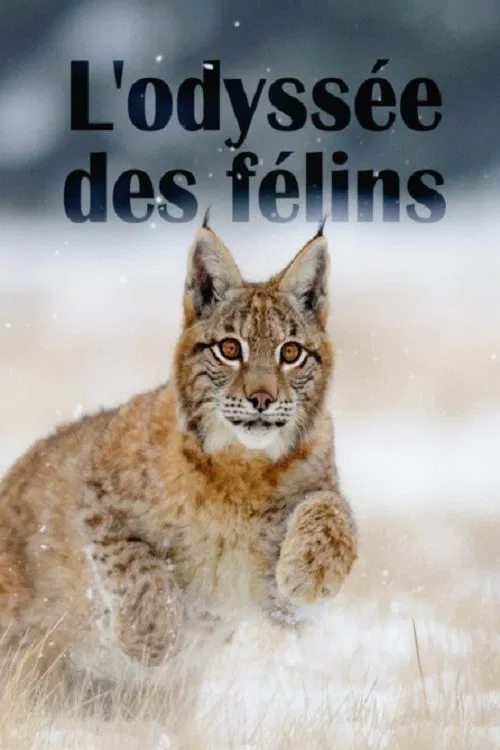 The Odyssey Of Felines movie poster