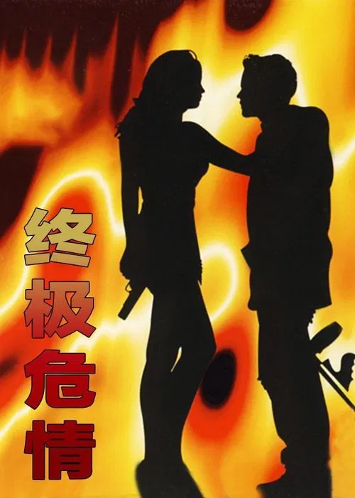 Final Target movie poster