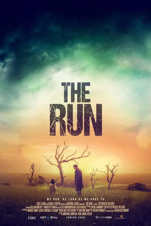Poster do filme The Run