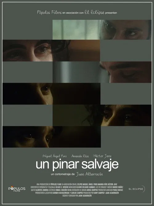 Un pinar salvaje movie poster