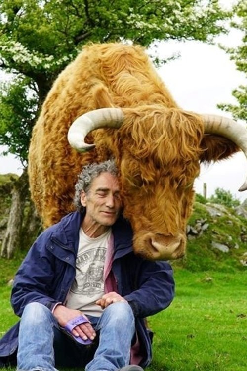 Tony & The Bull movie poster