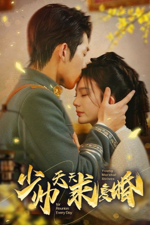 少帅天天求复婚 tv show poster