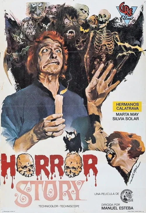 Poster do filme Horror Story