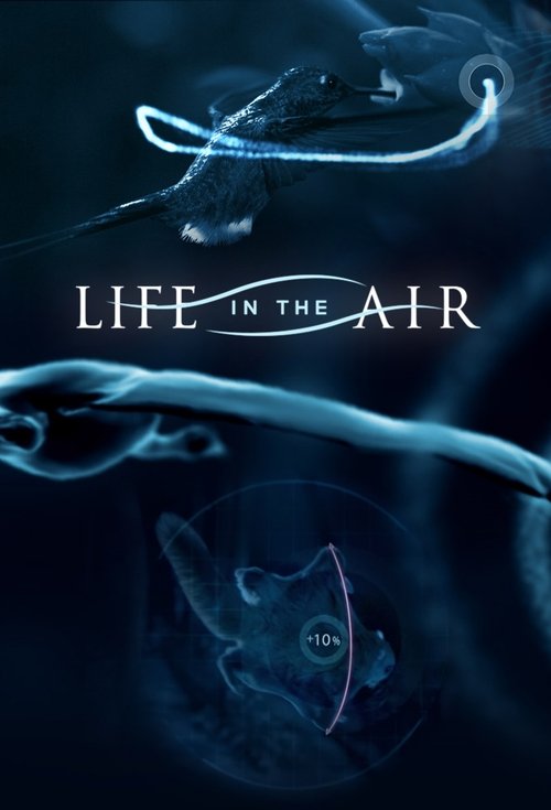 Life in the Air movie poster