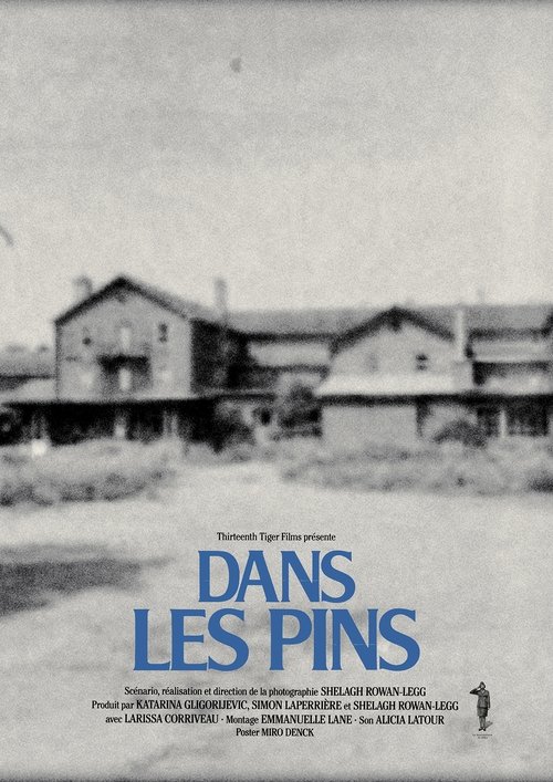Poster do filme Among the Pines