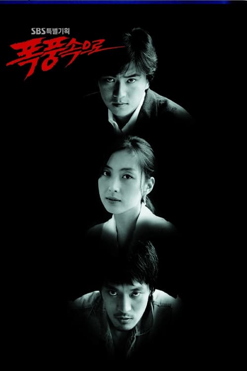 폭풍 속으로 tv show poster