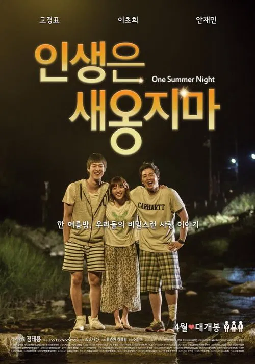 One Summer Night movie poster