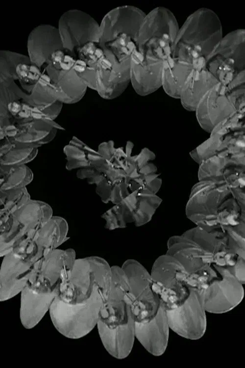 Cut movie poster