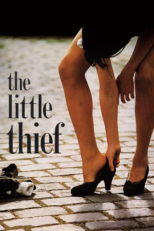 The Little Thief movie poster