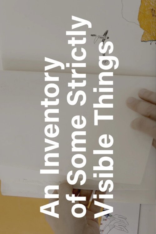 An Inventory of Some Strictly Visible Things movie poster