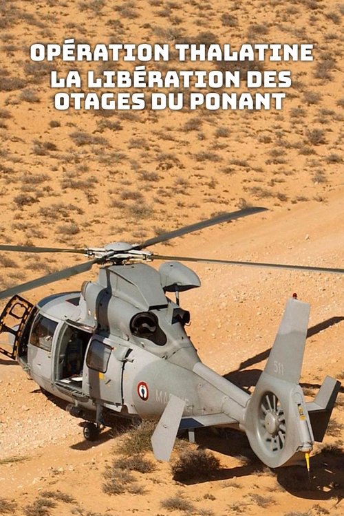 Opération Thalatine : La libération des otages du Ponant movie poster