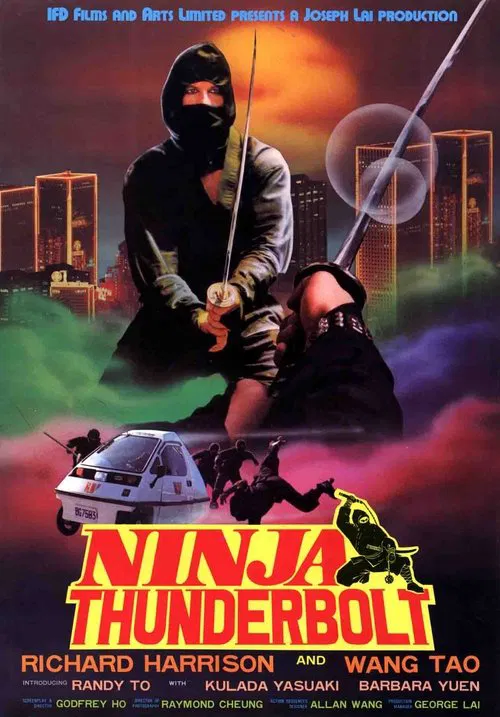 Ninja Thunderbolt movie poster